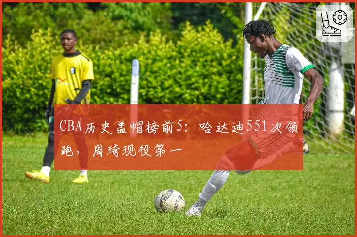 CBA历史盖帽榜前5：哈达迪551次领跑，周琦现役第一