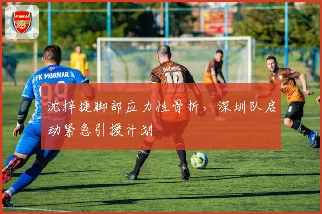 沈梓捷脚部应力性骨折，深圳队启动紧急引援计划