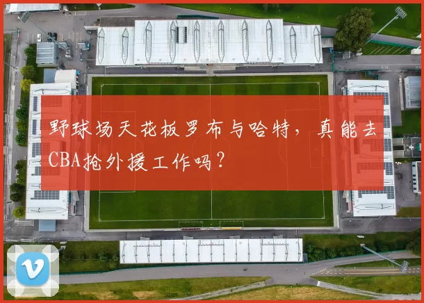 野球场天花板罗布与哈特，真能去CBA抢外援工作吗？