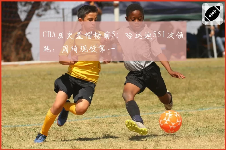 CBA历史盖帽榜前5：哈达迪551次领跑，周琦现役第一